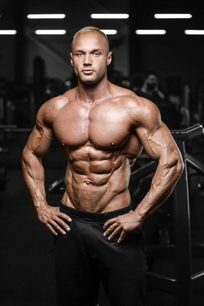 health care, work out, abs, active, arms, athlete, back, bar, biceps, body, bodybuilder, bodybuilding, brutal, caucasian, chest, coach